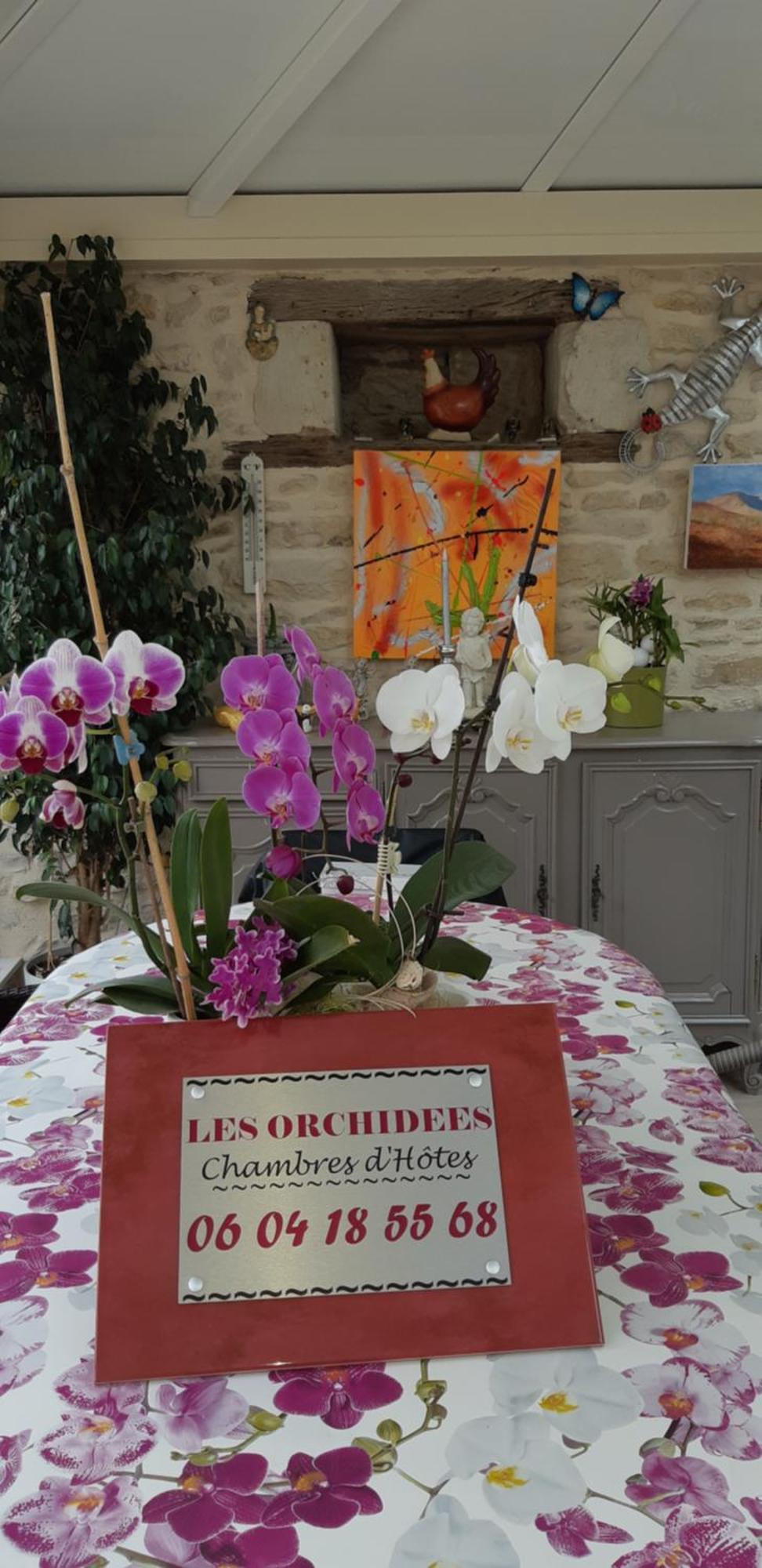 Les Orchidees Chambre Hotes Futuroscope Chasseneuil Poitiers Jaunay-Clan Exteriér fotografie